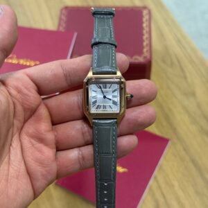 Cartier Santos-Dumont- Dourado/ Cinza